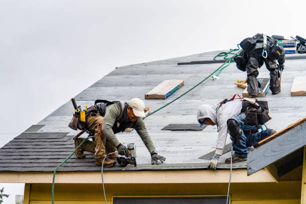Professional Gutter Installation technician working in Toms Brook, VA